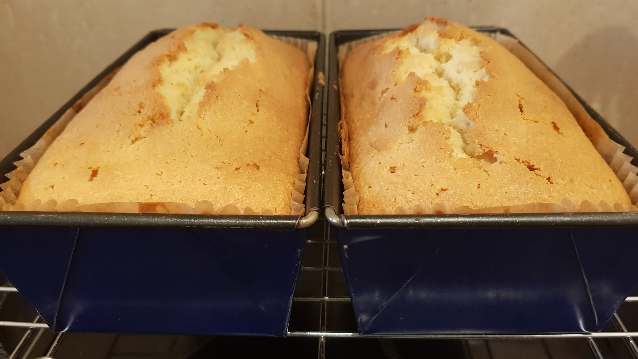Madeira cake loaves baked alaska experiment